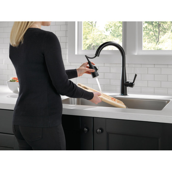 9113TDST,BLDST,ARDST Delta Essa Pull Down Touch Kitchen Faucet